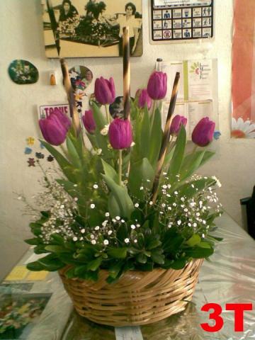 3_tulipane.jpg