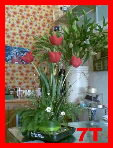 6_tulipanescuadro.jpg